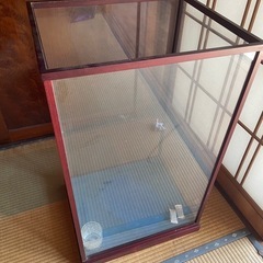 ふくろうの画像