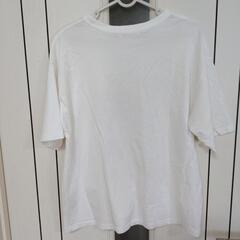 　新品　SHOO-LA-RUE　Tシャツ　シューラルーの画像