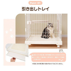 猫　ゲージの画像