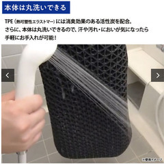 【開封未使用】ヒツジのいらない枕プレミアム＋枕カバー2枚付きの画像