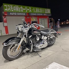 ハーレーダビッドソンFLSTC車検付きの画像