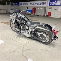 ハーレーダビッドソンFLSTC車検付きの画像