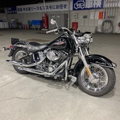 ハーレーダビッドソンFLSTC車検付きの画像