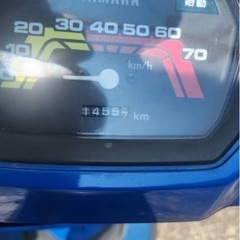 〔目玉商品〕初期型　ペリカンジョグ　の画像