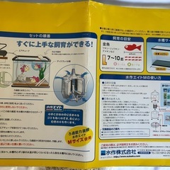 水槽セットの画像