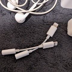 iPhoneの付属品の画像