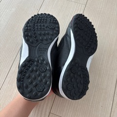 ビオフィッター⭐︎21センチの画像