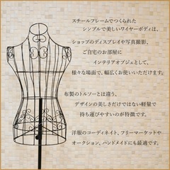 ワイヤートルソーの画像