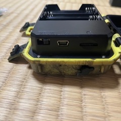 トレイルカメラの画像