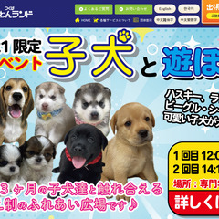 😻🐶つくばわんわんランド　2名様無料券　ねこハウス🐶😻🐶😻の画像