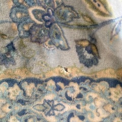 無料　古毛布　シングル　青　花柄の画像
