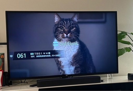 【保証有】LG 49インチ　4K液晶テレビ　