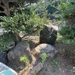 庭石の画像