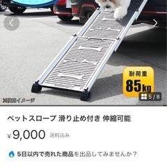 ペットスロープの画像