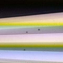 ADA90cm用照明ライト　水草の画像
