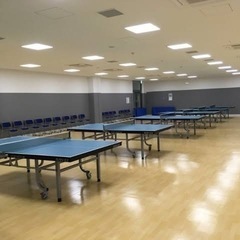 【みらい平/みどりの/守谷】卓球の練習相手募集！