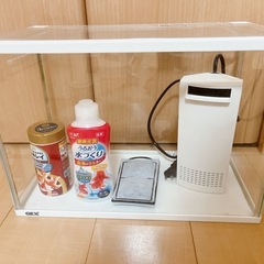 GEX水槽40㎝の画像