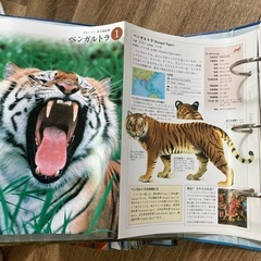 【どうぶつ図鑑】すばらしき野生の王国の画像