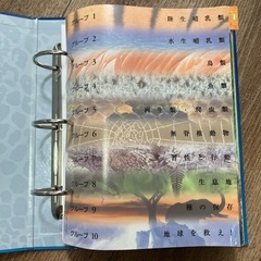 【どうぶつ図鑑】すばらしき野生の王国の画像