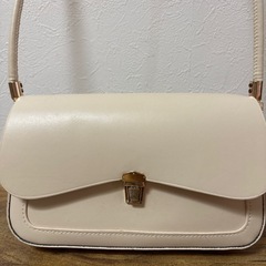 小さなカバン
の画像