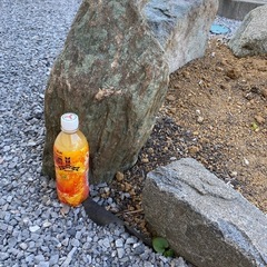 庭石　お譲りします　埼玉県越谷市　　の画像