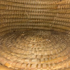 ペットの部屋の画像