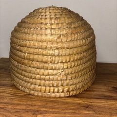 ペットの部屋の画像
