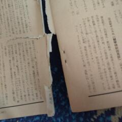 昭和 29年発行  あまとりあの画像