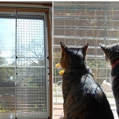 猫の脱走防止 メッシュパネルの画像