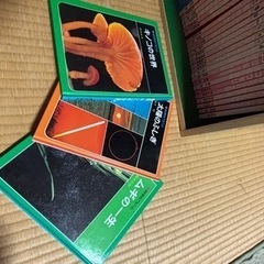 科学のアルバム　100冊ほど　あかね書房　辞典　教育の画像