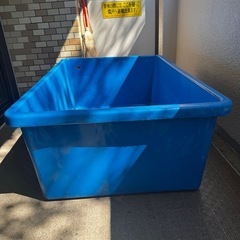 無料　早い者勝ち！　プールの画像