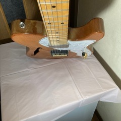 富士弦フジゲン テレキャスターの画像
