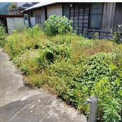 除草剤散布･草刈り 安く