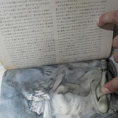江戸川乱歩全集全12巻　講談社　本の画像