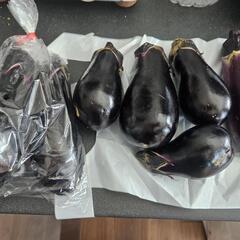 きゅうり　なす　オクラの画像