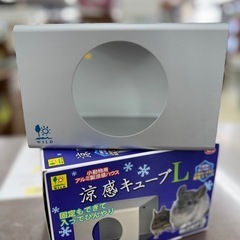 🉐LINE会員限定スペシャル価格🉐の画像