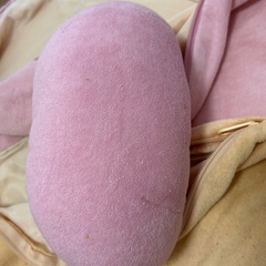 エールべべ授乳クッションカバー2セット➕授乳枕付きの画像