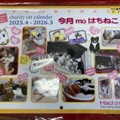 保護猫のカレンダー　2025年4月始まり　1200円→80…
