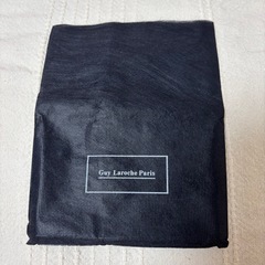 GuyLarocheParis名刺入れの画像
