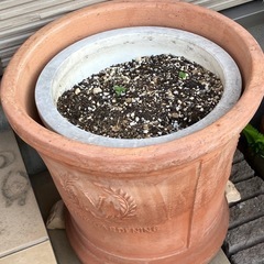 【希望者あり受付一時停止】大きな植木鉢2個セットの画像