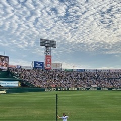 甲子園球場　レフト外野7月27日(日)18時試合開始の画像