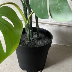 【IKEA】観葉植物 モンステラ フェイクグリーンの画像