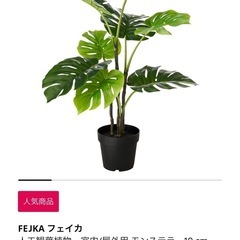 【IKEA】観葉植物 モンステラ フェイクグリーンの画像