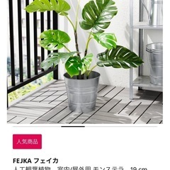 【IKEA】観葉植物 モンステラ フェイクグリーンの画像