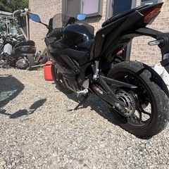 yzf-r3！！令和6年車❗️の画像