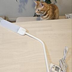 LEDライト　デスクの画像