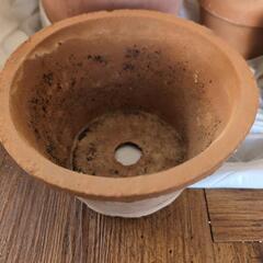 植木橋 各サイズセットの画像