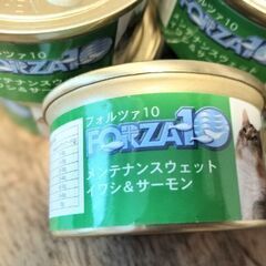 猫缶詰フォルツァ10×8 •猫ウェット ニュートロ　デイリーディッシュ　パテタイプ×5の画像