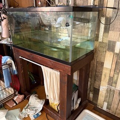90センチ水槽の画像