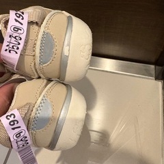 イフミー 14.5cmの画像